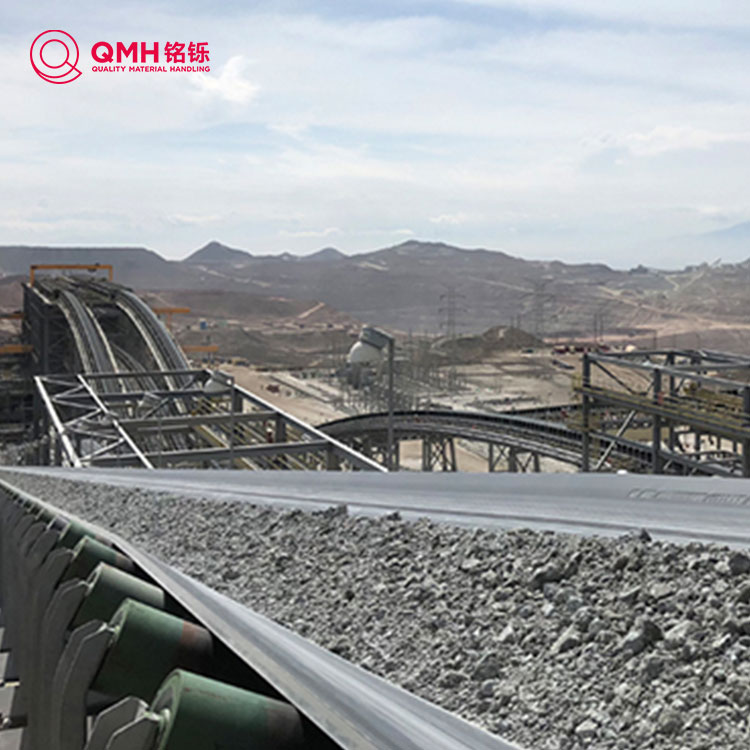 Acid at alkali-resistant conveyor belt