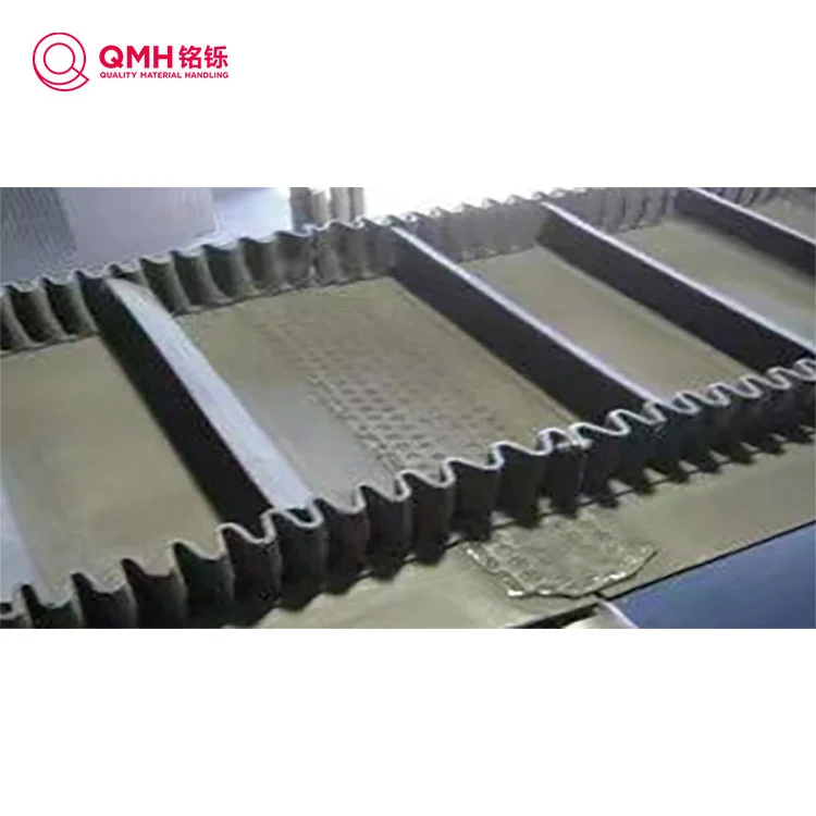 Mabilis na tornilyo ng conveyor belt