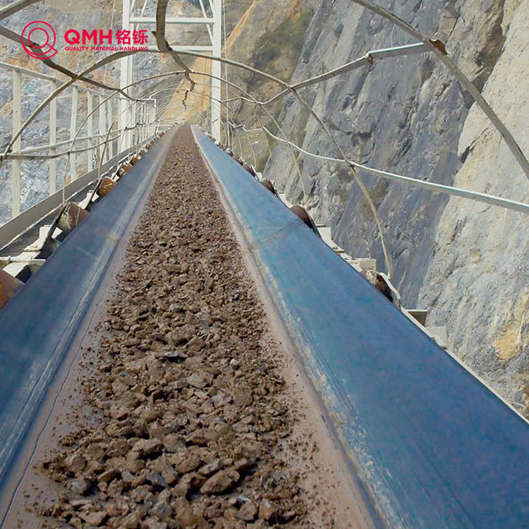 Tela ng conveyor belt